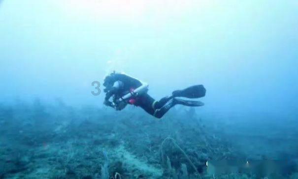 海底世界填颜色3